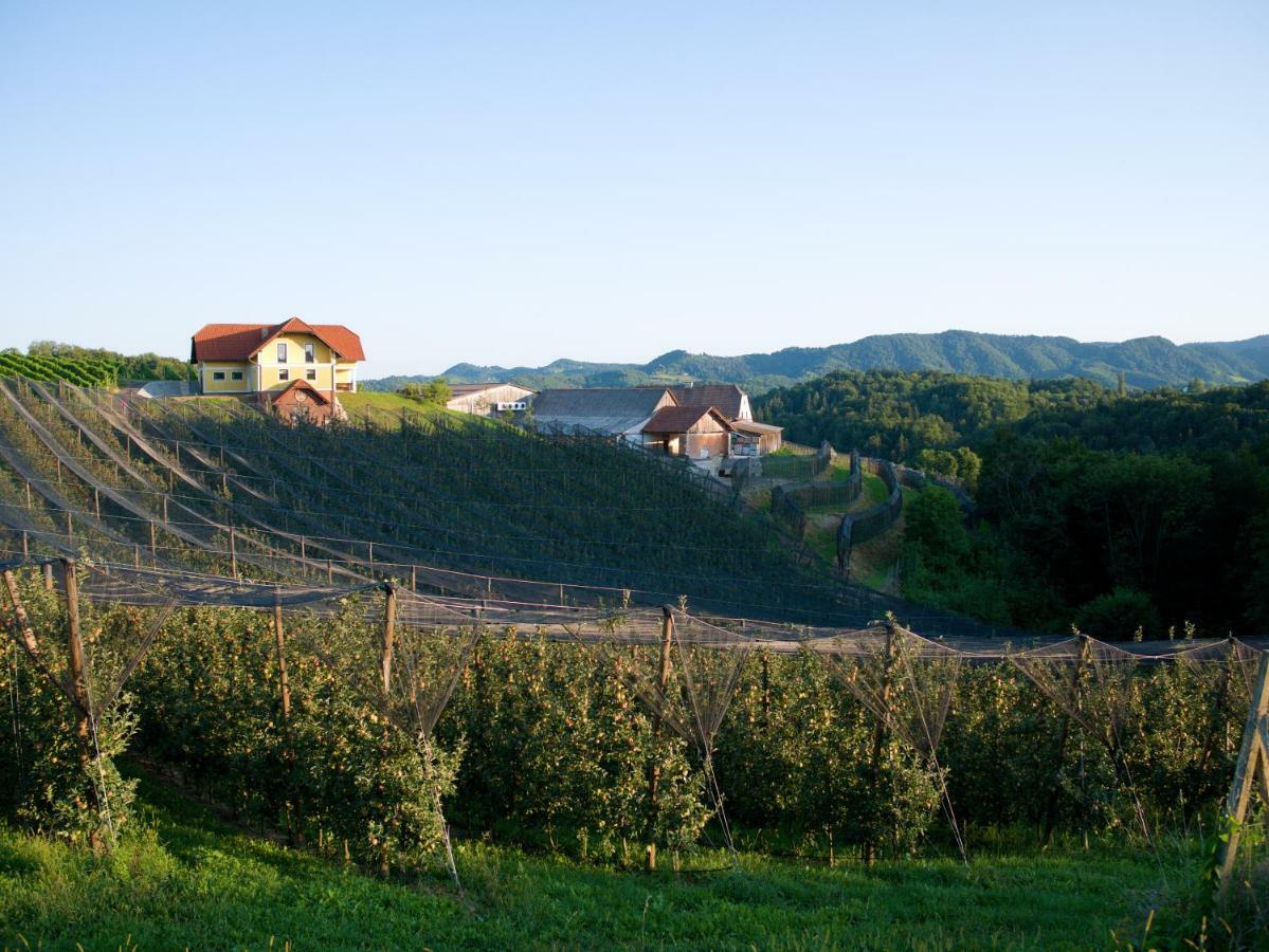 Holiday Home Winzerhaus Eva Spicnik Eksteriør billede