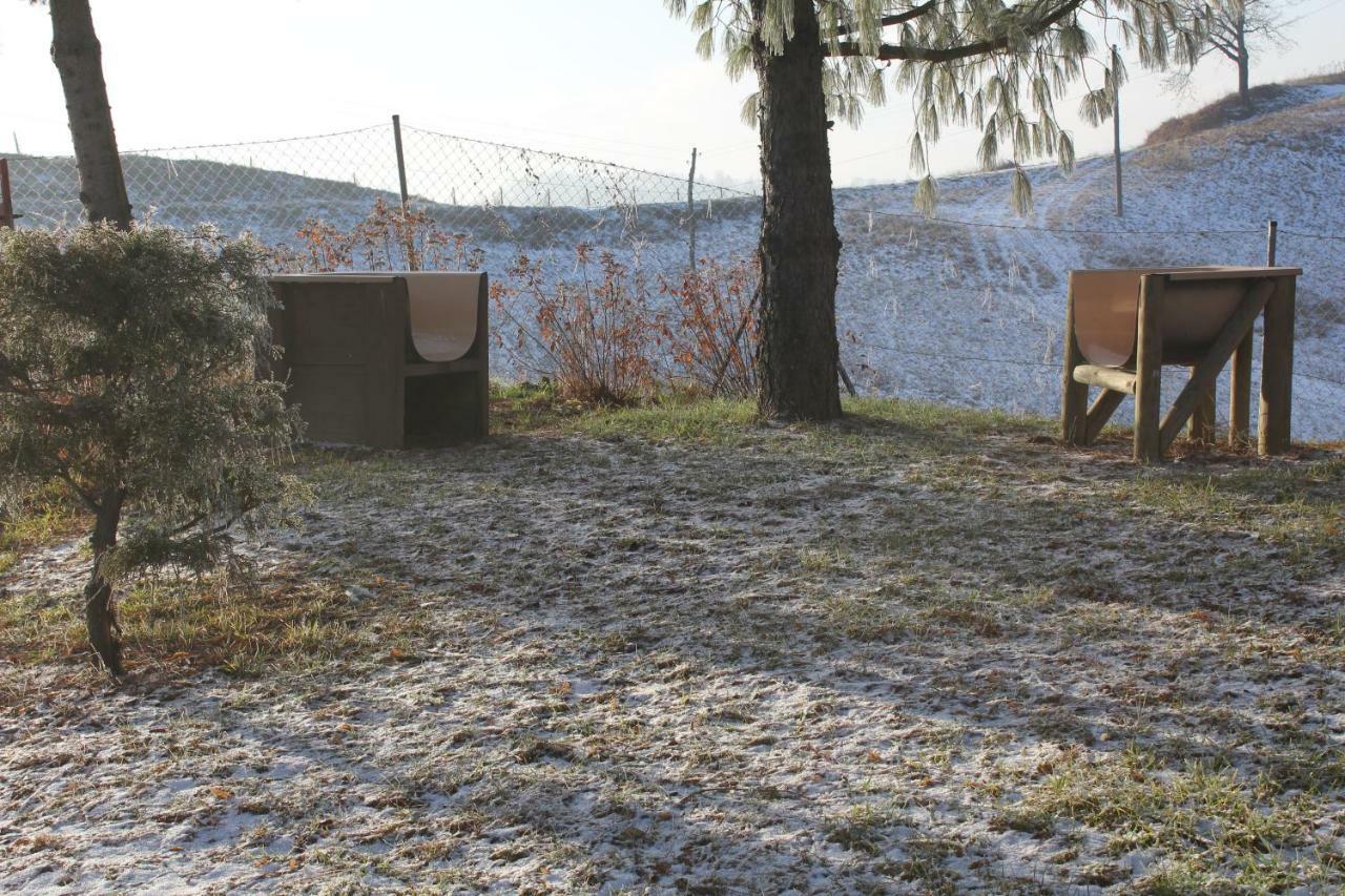 Holiday Home Winzerhaus Eva Spicnik Eksteriør billede